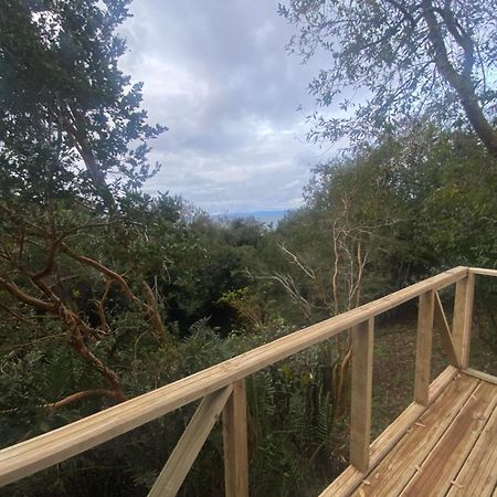 Bordemundo B&B Y Cabanas Puerto Varas Extérieur photo